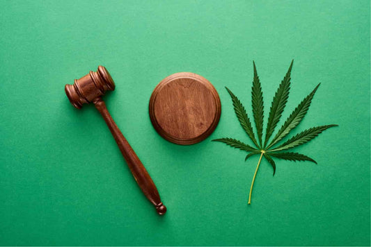 Cannabis Laws in Tennessee: What Buyers Need to Know
