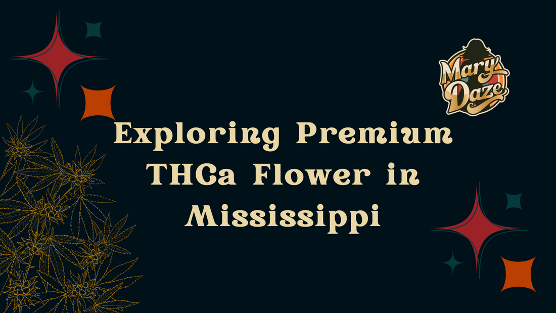 Exploring Premium THCa Flower in Mississippi