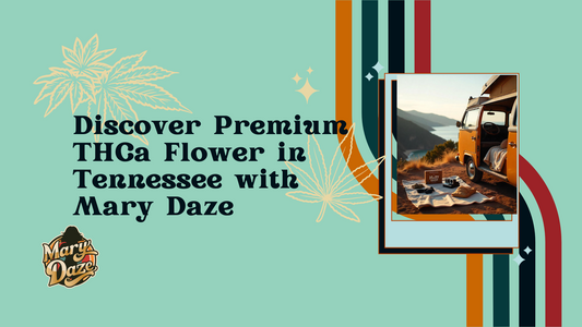 Discover Premium THCa Flower in Tennessee with Mary Daze