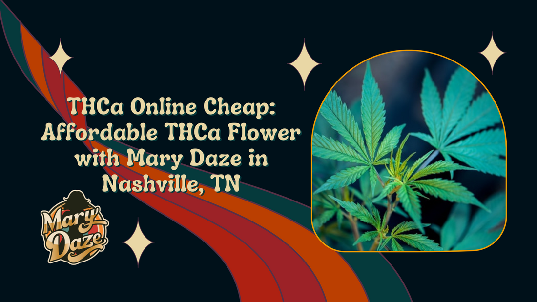 THCa Online Cheap: Affordable THCa Flower with Mary Daze in Nashville, TN