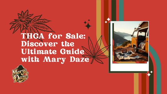 THCA for Sale: Discover the Ultimate Guide with Mary Daze