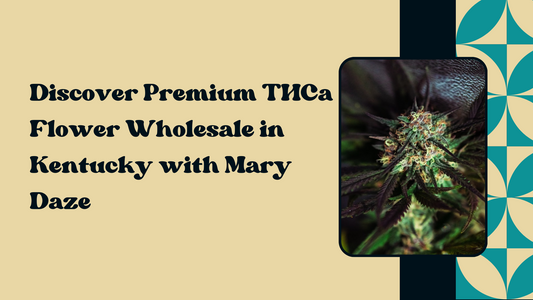 Discover Premium THCa Flower Wholesale in Kentucky with Mary Daze