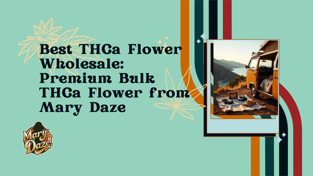 Best THCa Flower Wholesale: Premium Bulk THCa Flower from Mary Daze