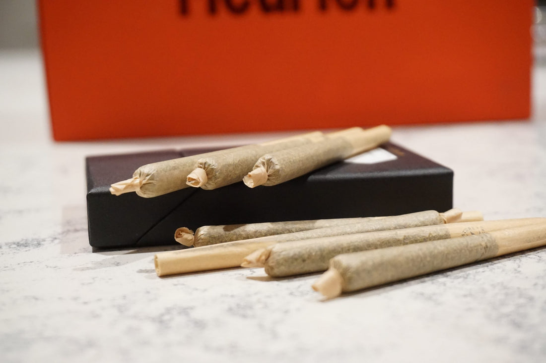 THCa Pre-Rolls: Convenience and Quality Rolled Into One by Mary Daze